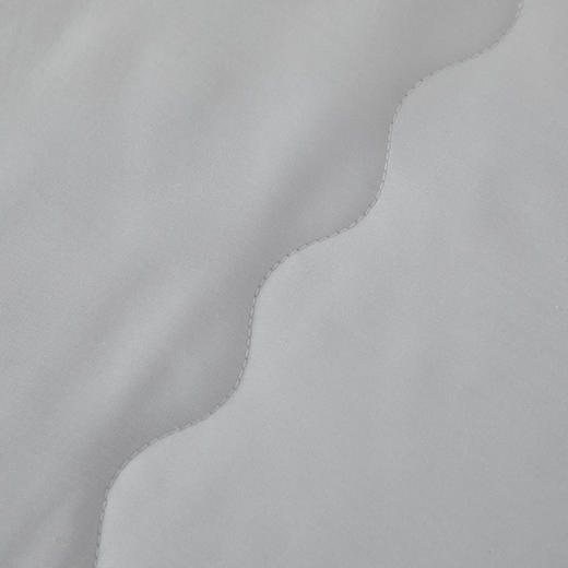 芳恩 燕窝蛋白天丝被FN-B6092灰色200×230cm 商品图2