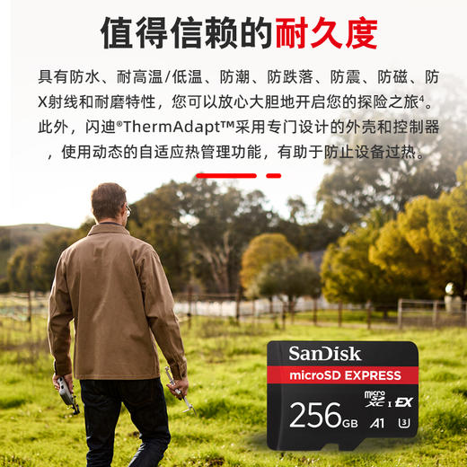 SDSQXFN-256G-ZN4NN 商品图3