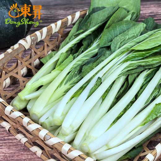 东升农场 有机小白菜 新鲜蔬菜 广州发货 250g 商品图3