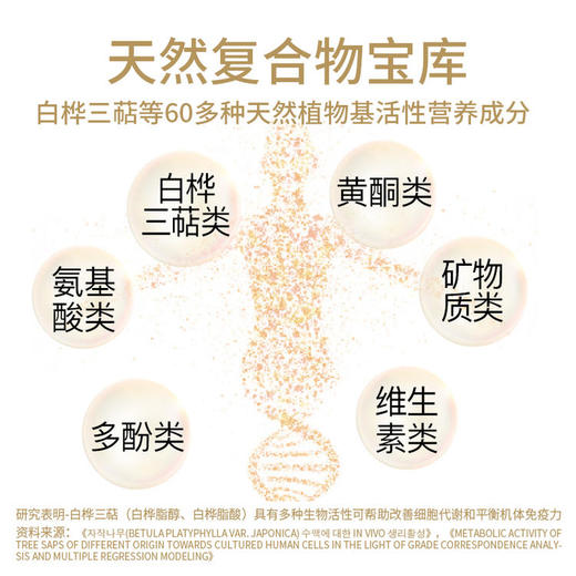 【嘉桦有17项专利证书真活性桦树汁】 一起解密白桦树汁的生命力来源 商品图10