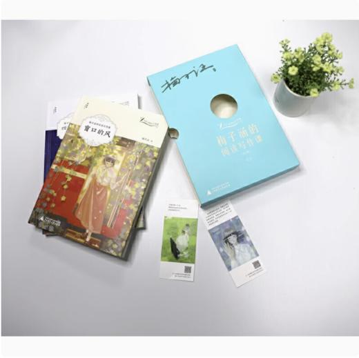 【独秀书香卡】大作家的文学小课  梅子涵的阅读写作课（全2册） 梅子涵/著 商品图4