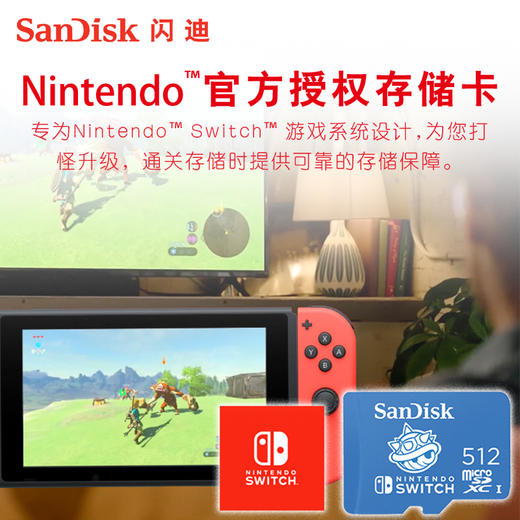 SDSQXAO-512G-ZN6ZN 商品图4