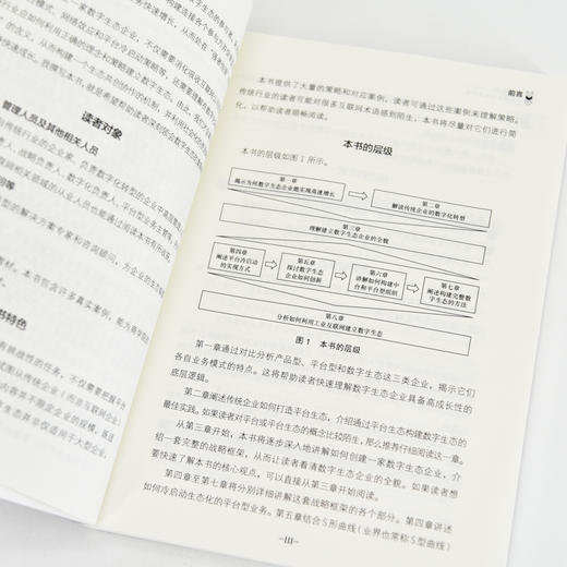 数字生态：企业赢在未来的关键 数智化工业互联网平台数字生态 企业数字化转型战略思维书籍 商品图3