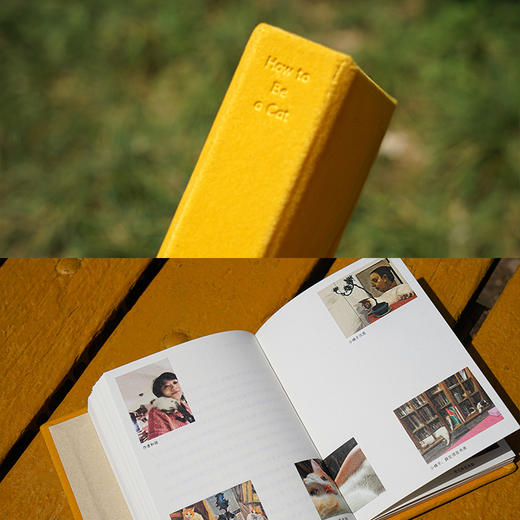 如何成为一只猫 猫声猫色 爱猫人士的掌上探索指南 商品图8