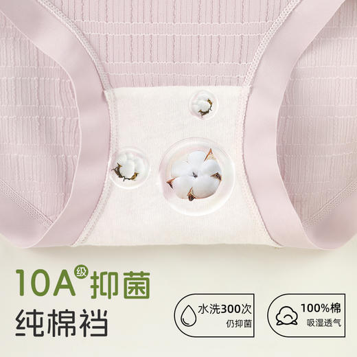 泡泡纱蕾丝美臀裤（3条装） 商品图2