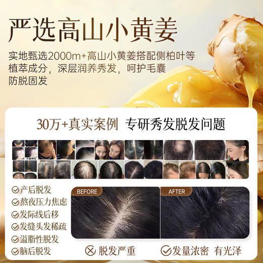 【积分兑换】卓蓝雅经典款洗发水400ml 商品图2