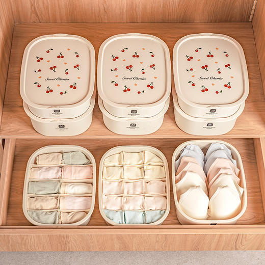 摩登主妇内衣收纳盒家用分格贴身衣物袜子内裤文胸三合一整理神器 商品图0