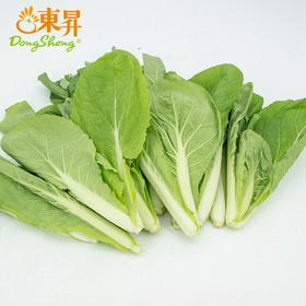 东升农场 有机杭白苗 250g 广州发货 新鲜蔬菜