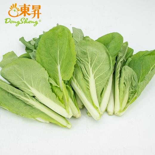东升农场 有机杭白苗 250g 广州发货 新鲜蔬菜 商品图0