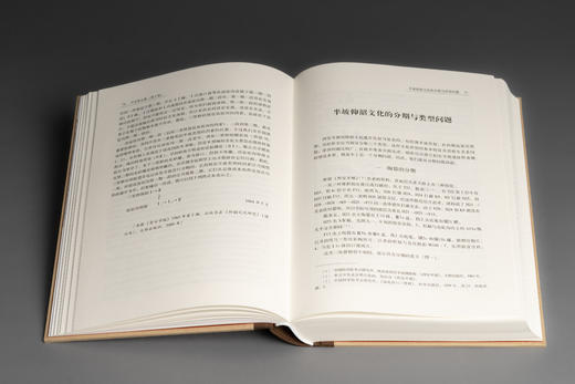 《严文明文集》（全9册） 商品图5