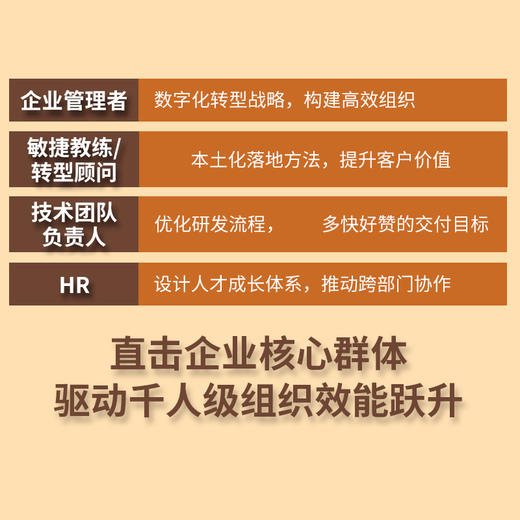 稳敏兼顾：数字化研发管理实战 企业数字化转型管理敏捷转型路径效能提升实践实战经验团队定位战略策略书籍 商品图1