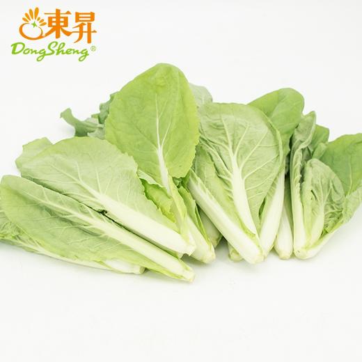 东升农场 有机杭白苗 250g 广州发货 新鲜蔬菜 商品图1