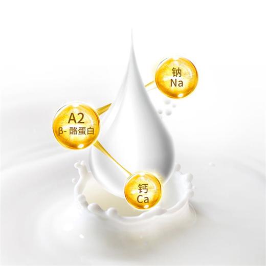 A2速溶脱脂乳粉 1kg 商品图2