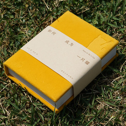 如何成为一只猫 猫声猫色 爱猫人士的掌上探索指南 商品图1