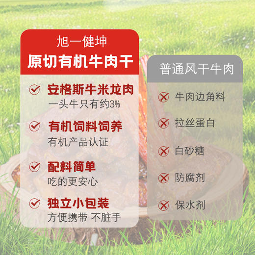 旭一健坤内蒙古有机牛肉干 多口味孕妇儿童小包装零食128g/袋 商品图6