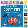【中商原版】DK启蒙海洋生物（新）My First Ocean Let's Dive In and Explore 英文原版 幼儿认知识物纸板书 带标签 进口童书 商品缩略图0
