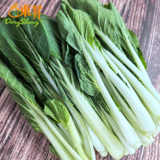 东升农场 有机小白菜 新鲜蔬菜 广州发货 250g 商品图2