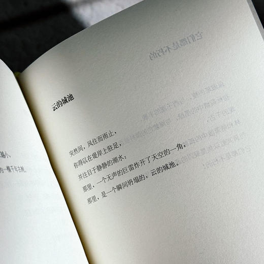 杭州书 泉子诗歌集 精装 诗与思 商品图11