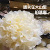 【有机银耳】软糯清香、胶质满满，有菌类特有的香气，肉质厚实、口感劲道！ 商品缩略图2