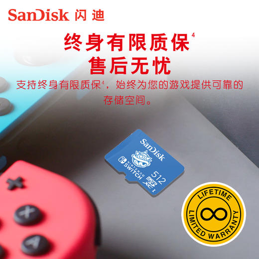 SDSQXAO-512G-ZN6ZN 商品图3