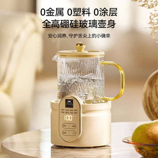 康宁玻璃鲜炖杯WK-DRB501-KDN/KZ（无炖盅）【分仓直发，72小时发货，周末节假日不发货】 商品图0