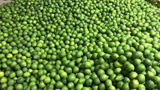 【蜂蜜摇摇水】 天然饮品 自然甜  摇出健康好滋味 商品图7