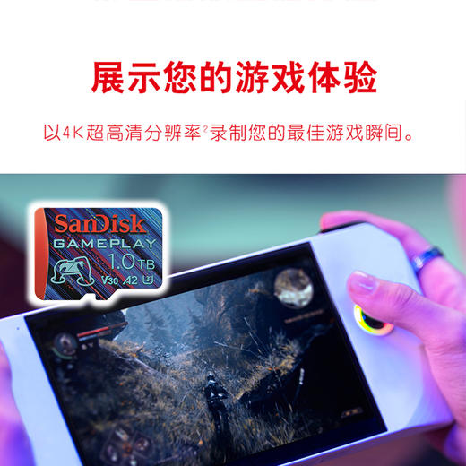 SDSQXAV-256G-ZN6XN 商品图4