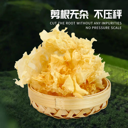 【有机银耳】软糯清香、胶质满满，有菌类特有的香气，肉质厚实、口感劲道！ 商品图1