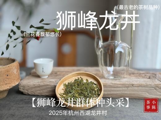 【老茶友的专属福利】2025手工头采狮峰龙井（群体种）来了，兰花香袭人，每一口都是江南春意（50克） 商品图0