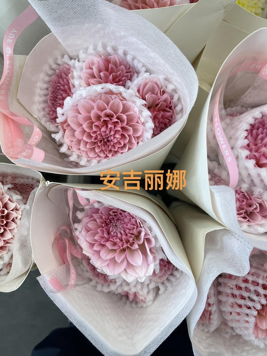 国产花材-【大丽花】安吉丽娜 商品图2