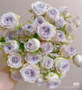 玫瑰海洋之心 商品缩略图0