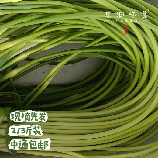 生态酵素蒜苔（基地直发-京东包邮）｜ 2/3斤装，来自四川绵竹，生产者：熊然【合作生产，公平贸易】 商品图4
