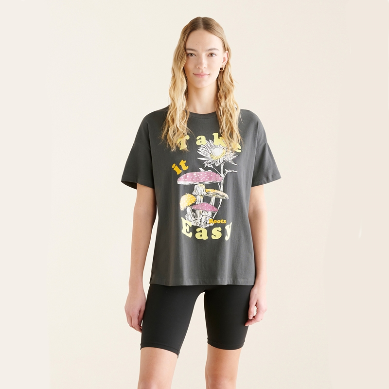 【2件9折】【ROOTS】女式休闲短袖T恤