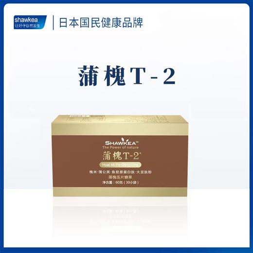 蒲槐T-2 商品图0