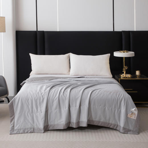 芳恩 燕窝蛋白天丝被FN-B6092灰色200×230cm 商品图0