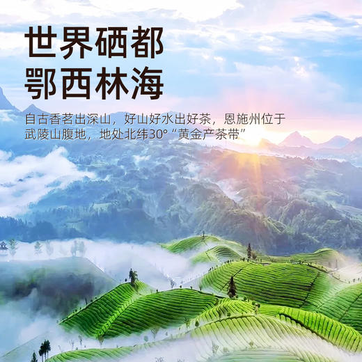 恩施硒茶高山茶特级恩施玉露绿茶+利川红红茶 红绿茶礼高端礼盒CM 商品图3