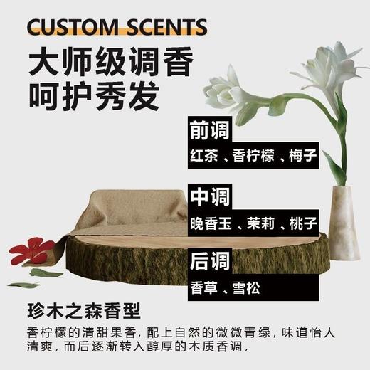 马丁MARTIN烫染养护洗发露500ml改善毛躁强韧发丝40248 商品图3