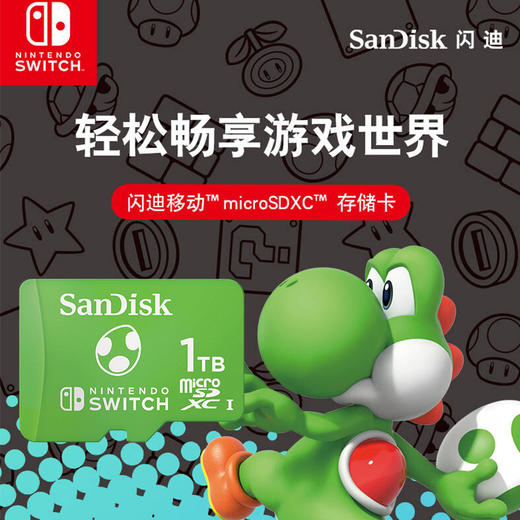 SDSQXAO-1T00-ZNCZN 商品图0