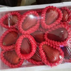 黑金刚莲雾约2斤