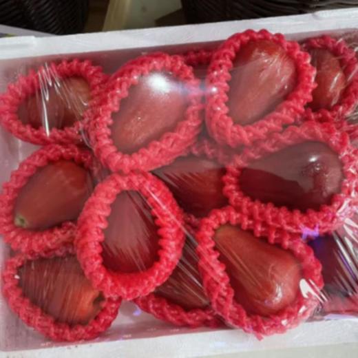 黑金刚莲雾约2斤 商品图0