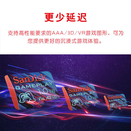 SDSQXAV-256G-ZN6XN 商品图2