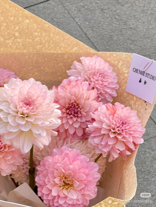 国产花材-【大丽花】安吉丽娜 商品图0