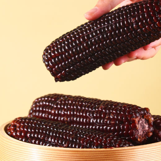 悦意 有机黑糯玉米/有机黄糯玉米 商品图4