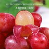 香水无籽红提 约500g /份 商品缩略图1