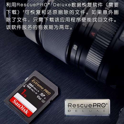 SDSDXEP-1T00-ZN4IN 商品图2