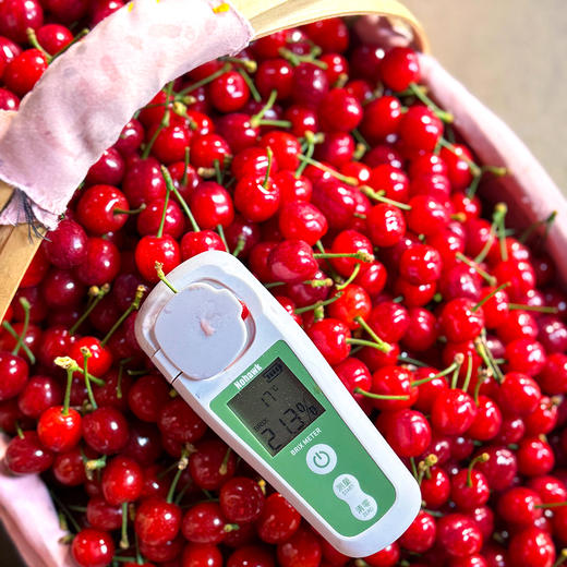 『米易玛瑙红小樱桃1号』肉质软嫩，柔糯多汁，高甜低酸，晶莹剔透，森林露天种植 商品图5