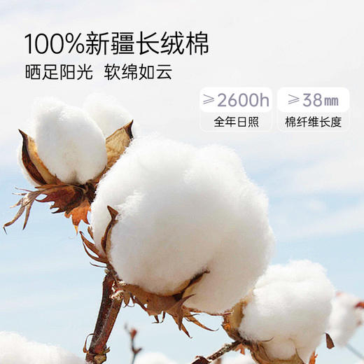 雅芳婷80S高针长绒棉蕾丝四件套床笠款贡缎被套亲肤全棉纯棉套件 商品图1