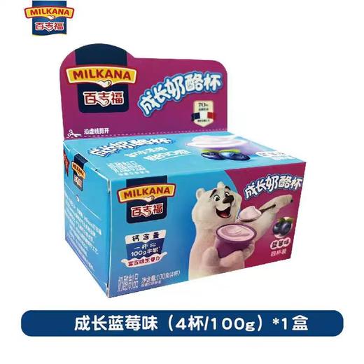 【BF】百吉福成长奶酪-蓝莓 100g 商品图0
