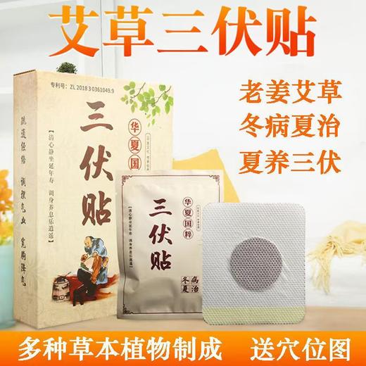 三伏贴 古法精心炮制春夏贴敷加厚艾草夏季草本三伏贴 商品图2