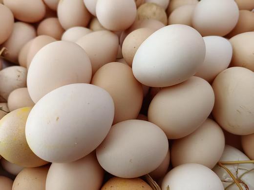 梯田丰年，一亩家膳|家庭生态粮仓|我在千亩梯田 有亩田 商品图7